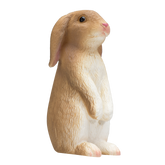 أرنب موجو يجلس